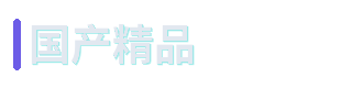 国产精品